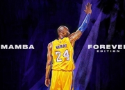 九游体育平台-石宇奇刷新纪录，中国队碾压法国队，一场改写历史的羽球对决