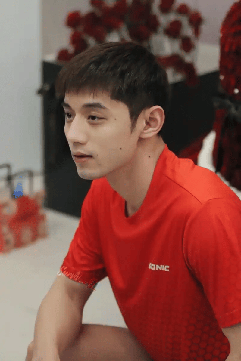 包含法国乒乓球队力克中国乒乓球队，张继科关键制胜的词条